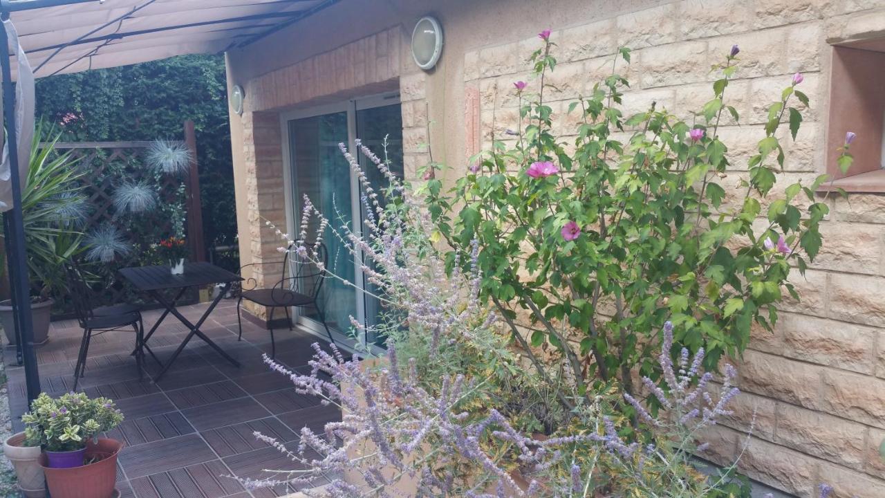 La Villa Des Violettes Toulouse Exterior foto