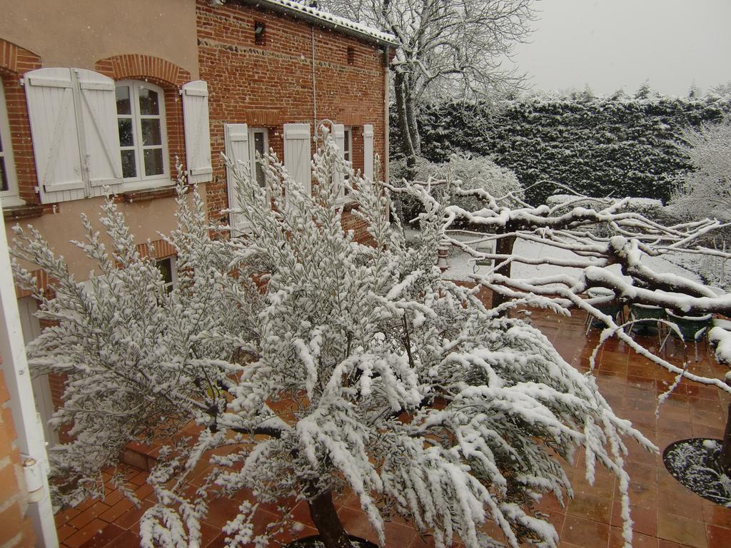 La Villa Des Violettes Toulouse Exterior foto