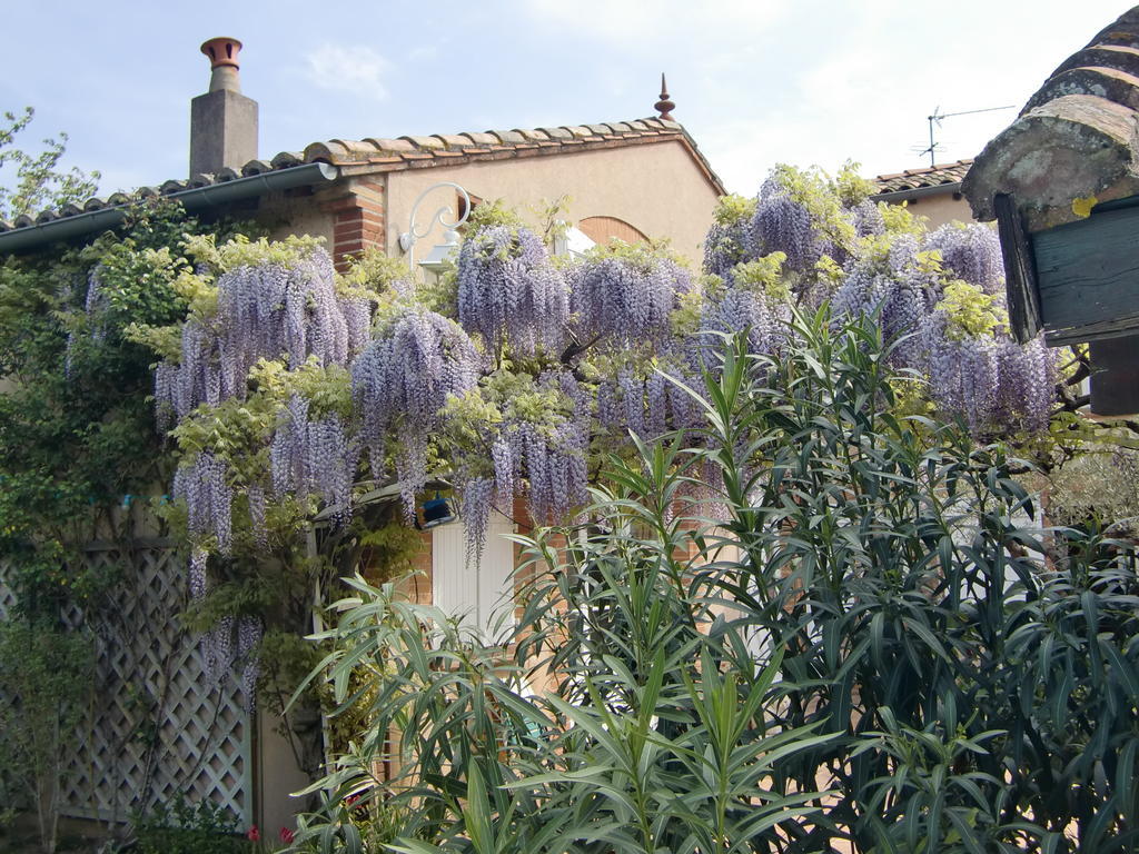 La Villa Des Violettes Toulouse Exterior foto