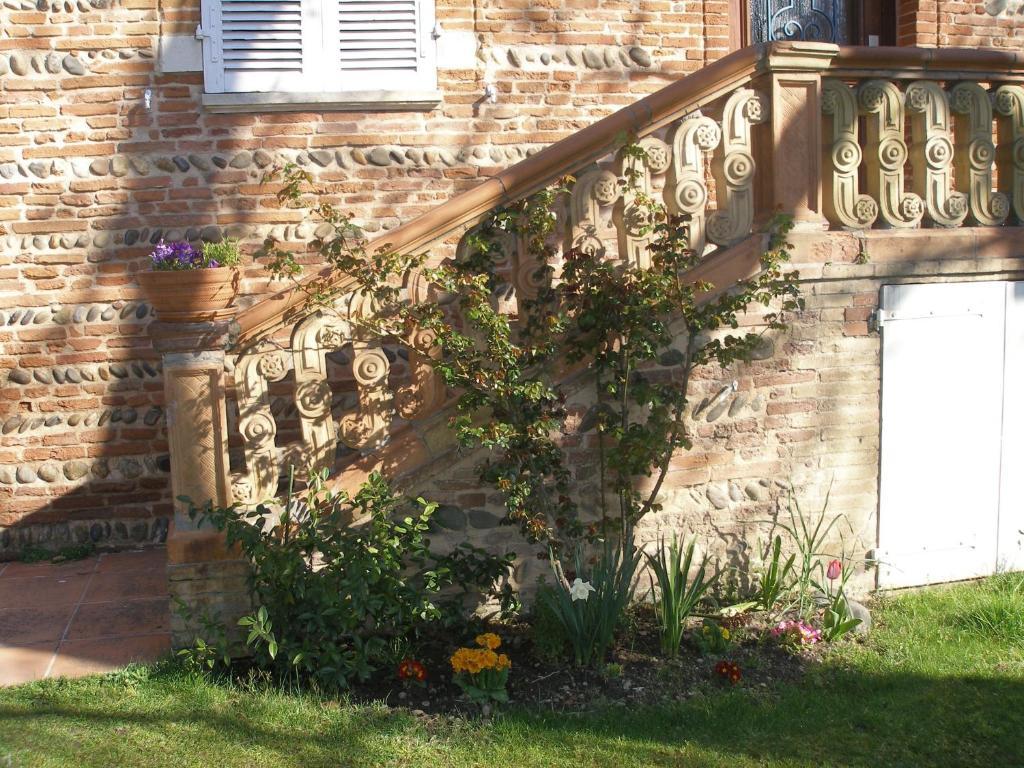 La Villa Des Violettes Toulouse Exterior foto