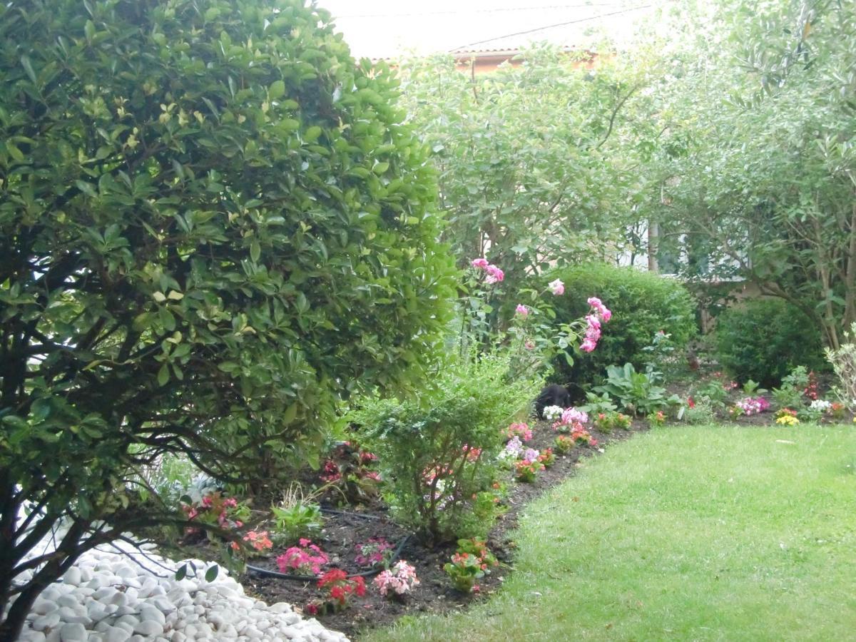 La Villa Des Violettes Toulouse Exterior foto